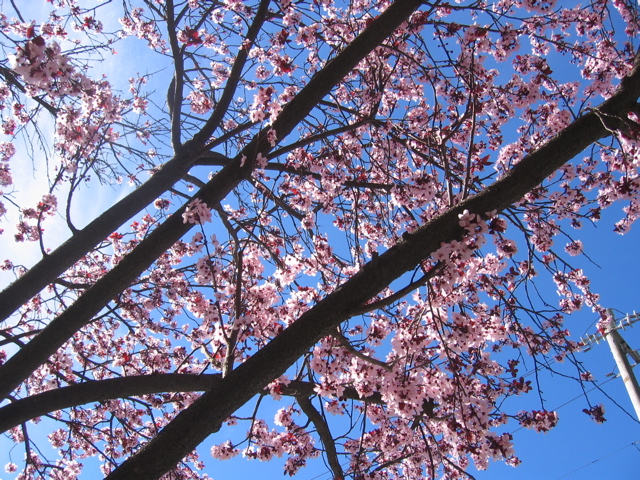 [IMG_2852.JPG]