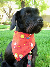 Sweet and Lovable Toby...