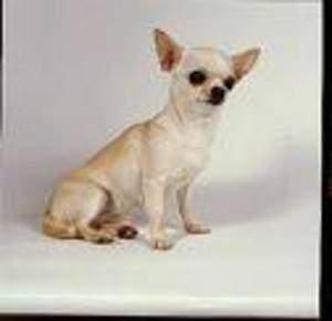 blacks on blondes ashley blue