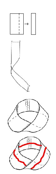 [MÃ¶bius.bmp]