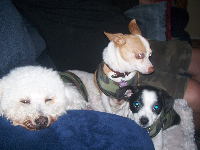 Texas Angel Baybi, Francis Albert Sinatra and Sammy Panda