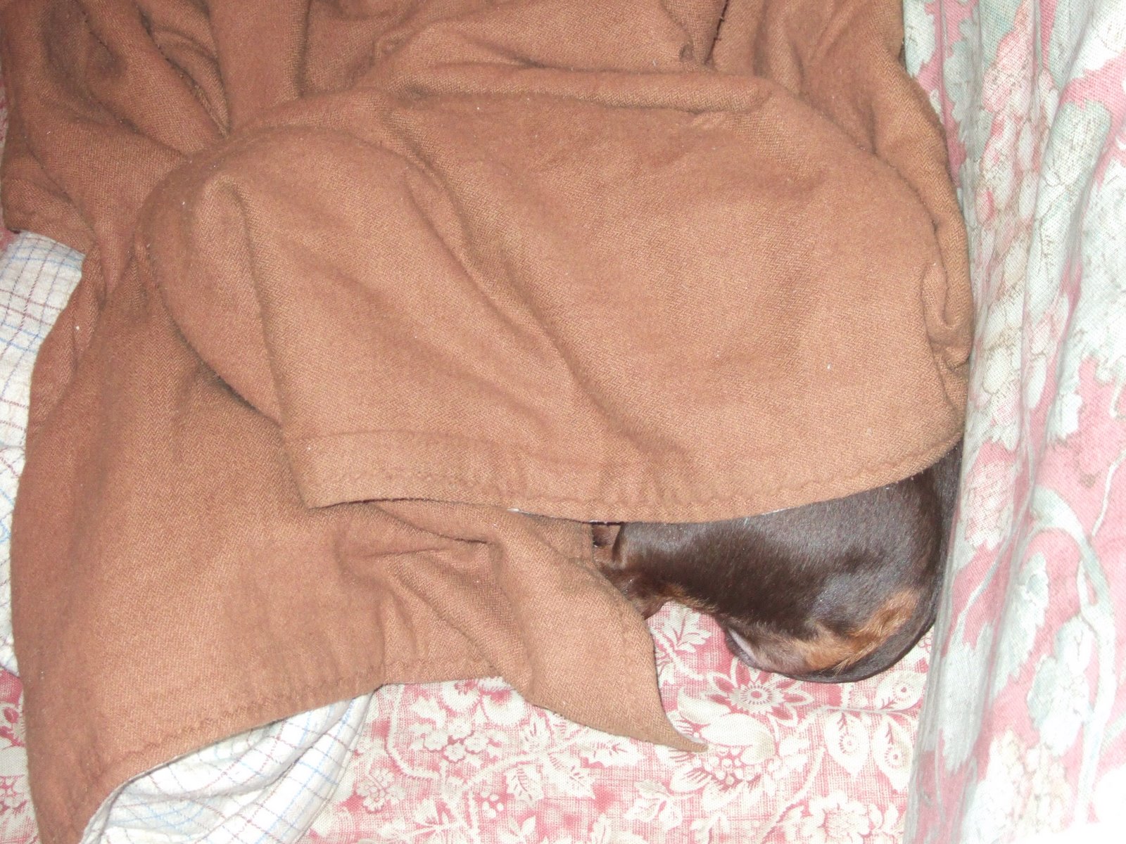 [DSCF7846.JPG]