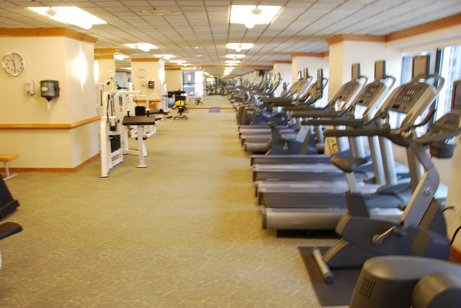 The New York Palace Fit for Two Kings The Dining Duo