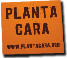 plantacara