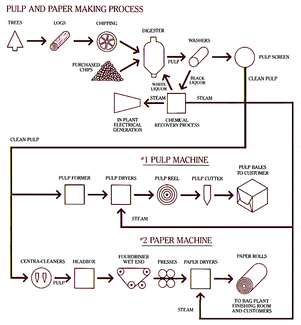 papermaking diagram