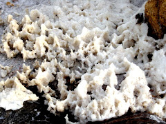 Formas caprichosas de la sal fosilizada