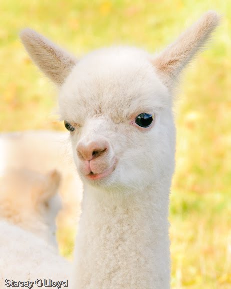 [Blog_20090907_2.jpg]