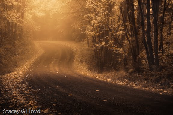 [Blog_20091021_1.jpg]