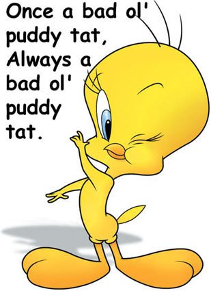 tweety_bird-5202.jpeg