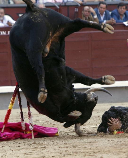 ENTRADA TORO FERIA ABRIL entrada toro feria abril:
