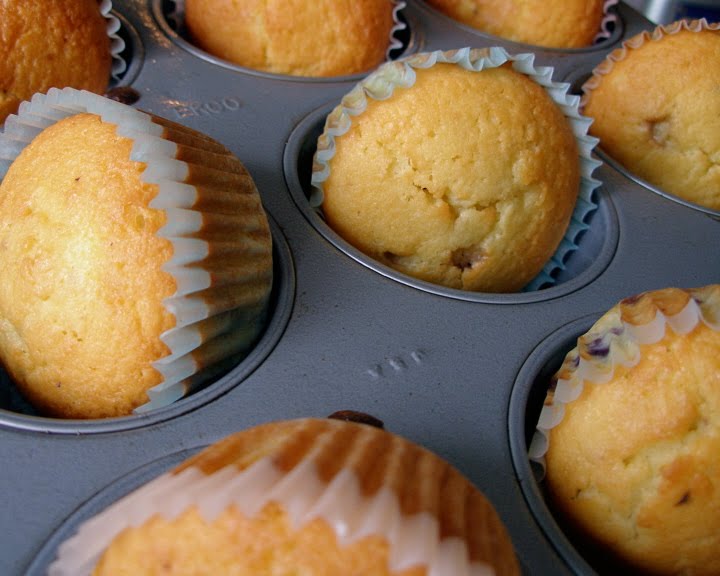 A Messy Kitchen "Delectable" low carb lemon blueberry muffins