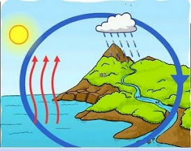 O CICLO DA AUGA