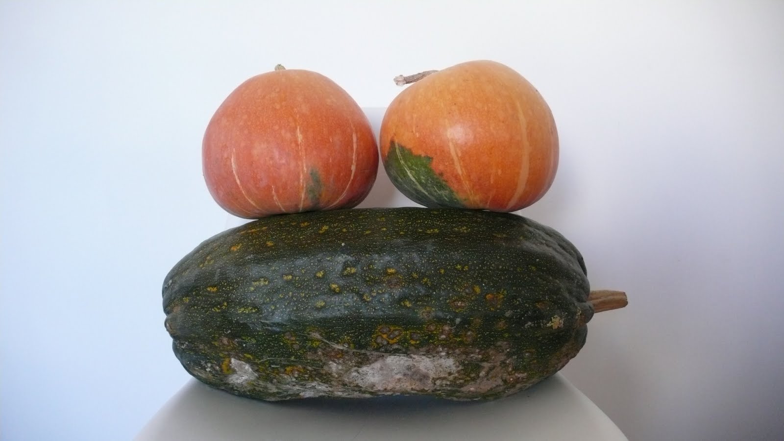 [L1060683.JPG]