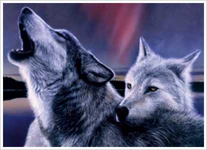 Pics Of Wolves With Wings Pics Of Wolves With Wings