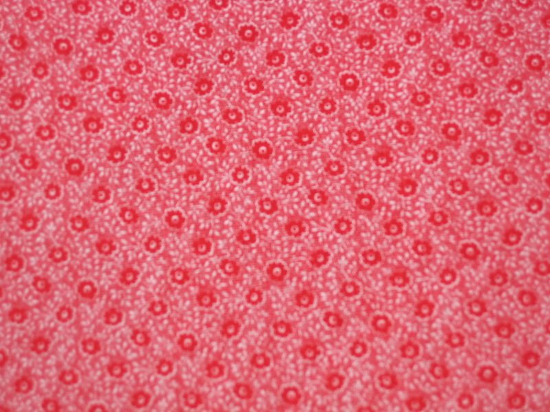 [IMG_1491_resize.JPG]