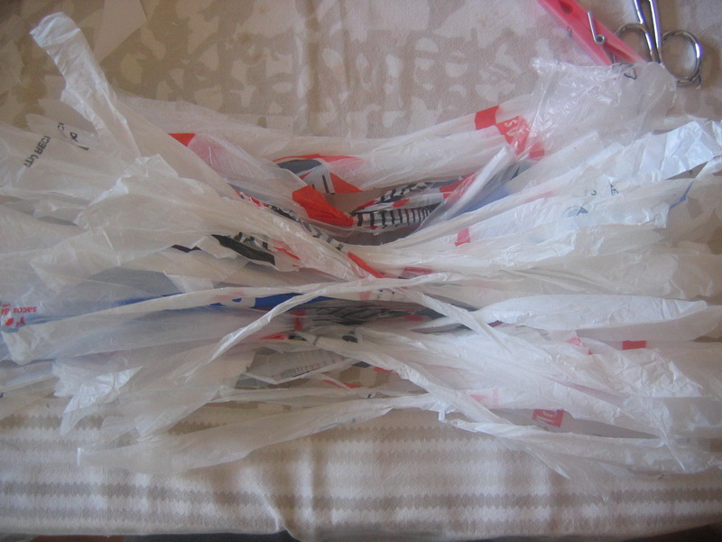 [IMG_5397_resize.JPG]