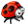 [ladybug.gif]