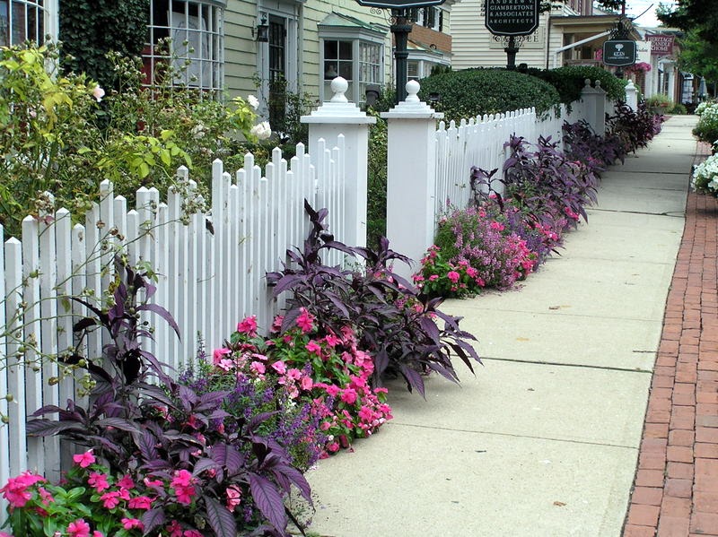 Melanie's Perennials The picket fence