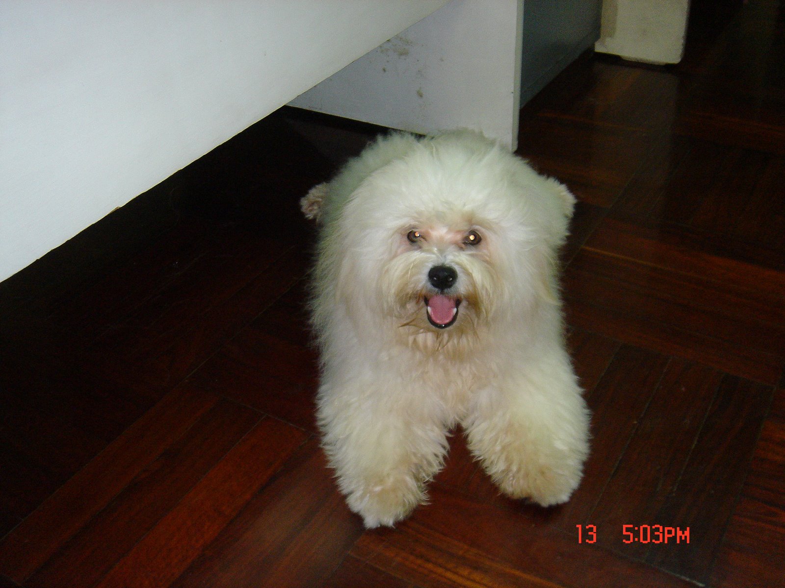 [DSC01475.JPG]