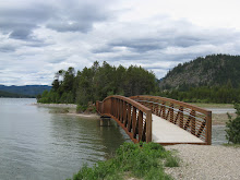 Walking trail bridge