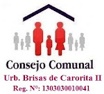 Consejo Comunal
