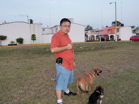 blog Heberto de Jesús Ramírez León: pastor belga malinois orejas caidas