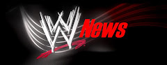100% WWE News
