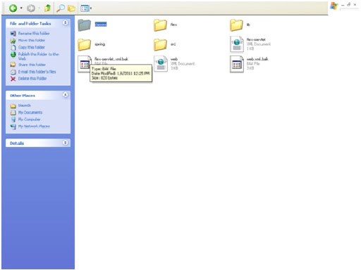 Flex crossdomain.xml tomcat