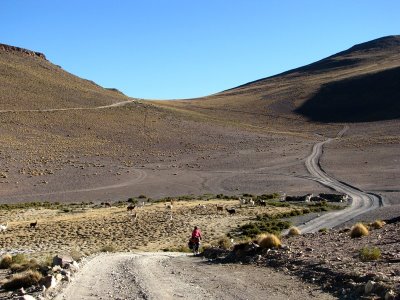 [IMG_1145.JPG]