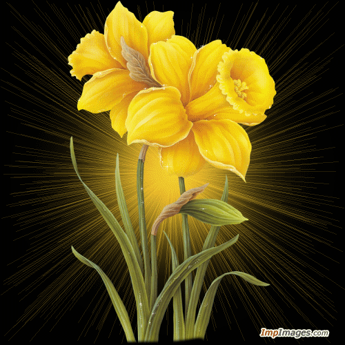 A luz e a beleza somente são vistas para quem vive com ela no coração e na mente.