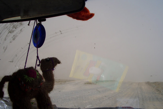 The view through the windscreen in the sandstorm, Mongolia