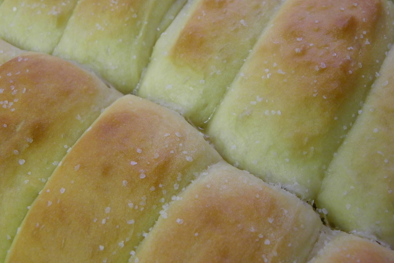 Having Fun in the Kitchen! Parker House Rolls