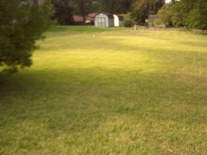 Southside in the Fall of 2007