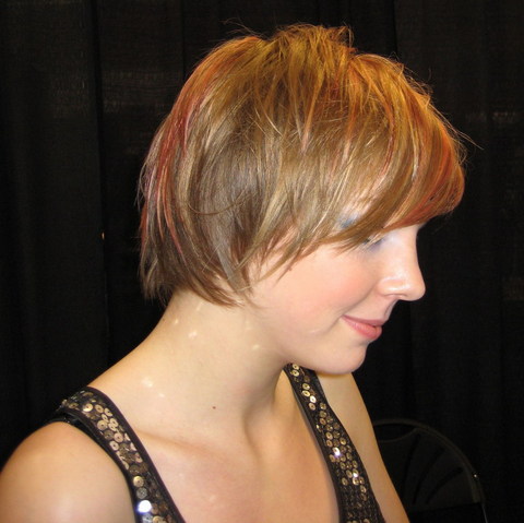 2009 summer short brown hairstyle