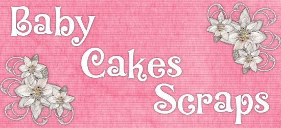 Baby Cakes Scraps