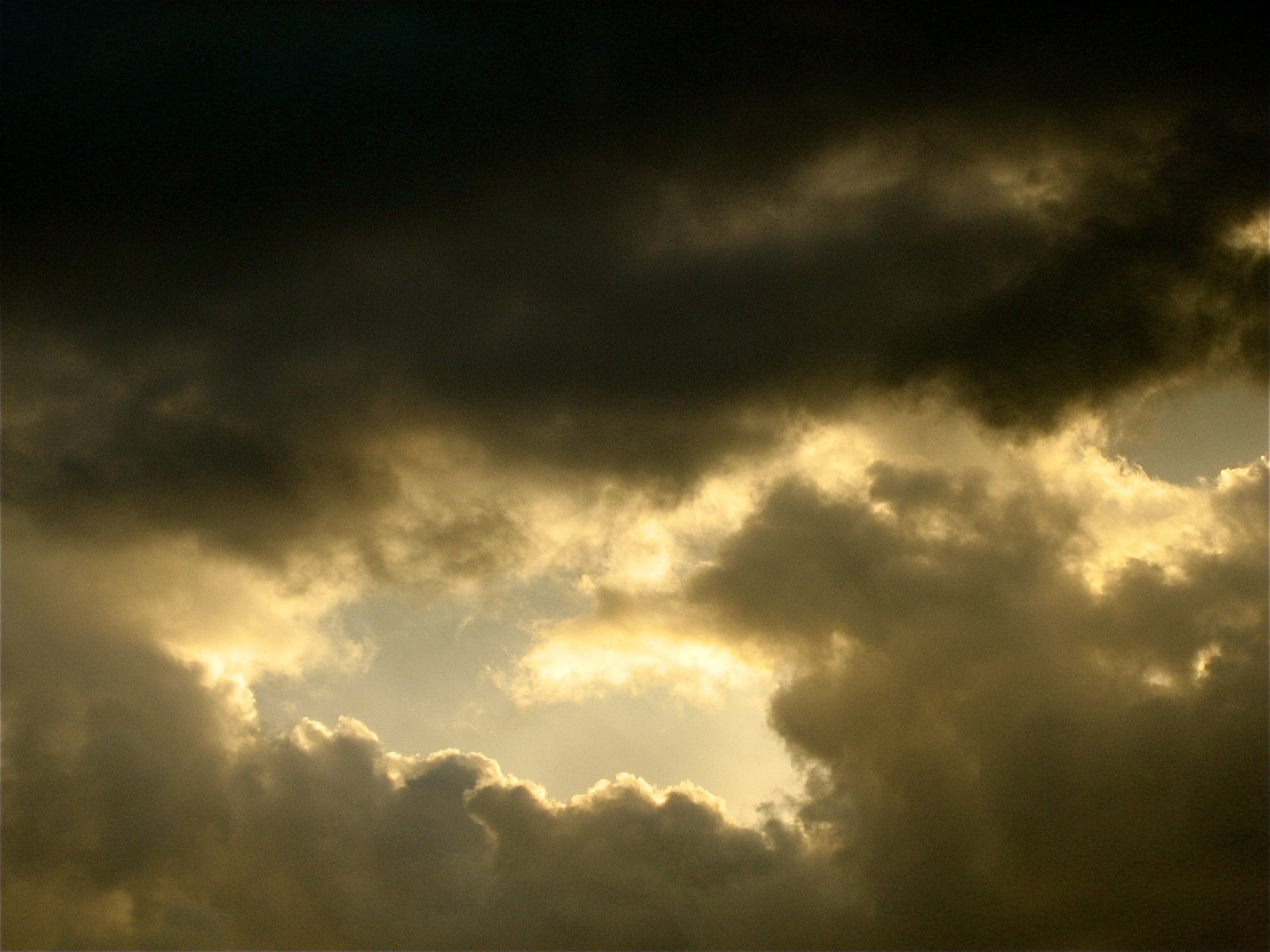[IMG_4805.JPG]