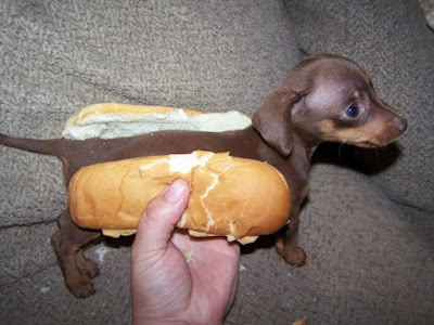 Hot+Dog+Dog.jpg