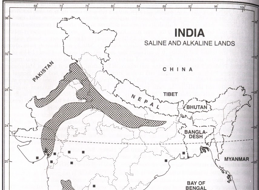 Saline Alkaline Land at Bobby Gifford blog