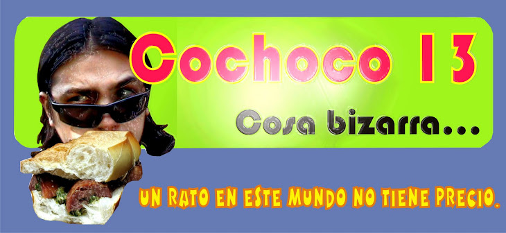 Cochoco 13 Cosa Bizarra