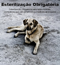 Esterilização