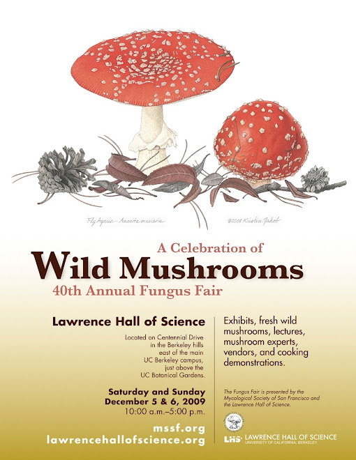 Fungus Fair Poster
