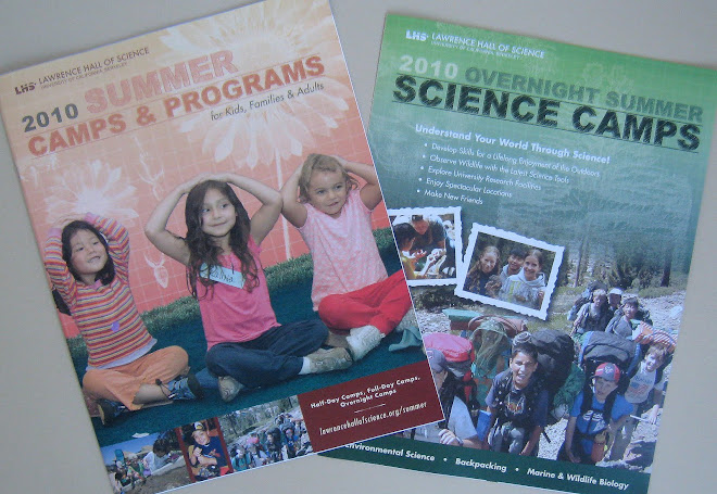 LHS Summer Brochures