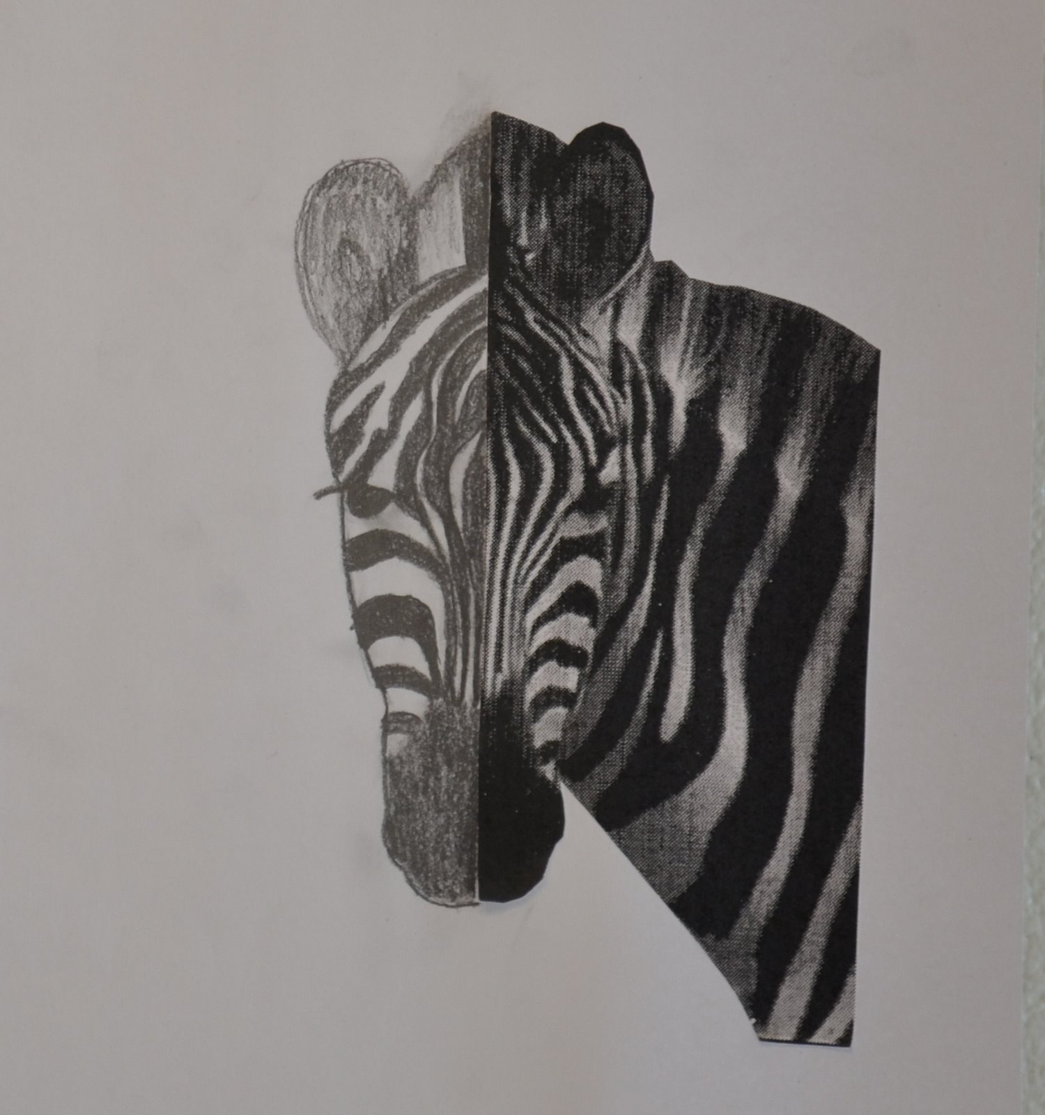 Art Class Ideas Half face animals