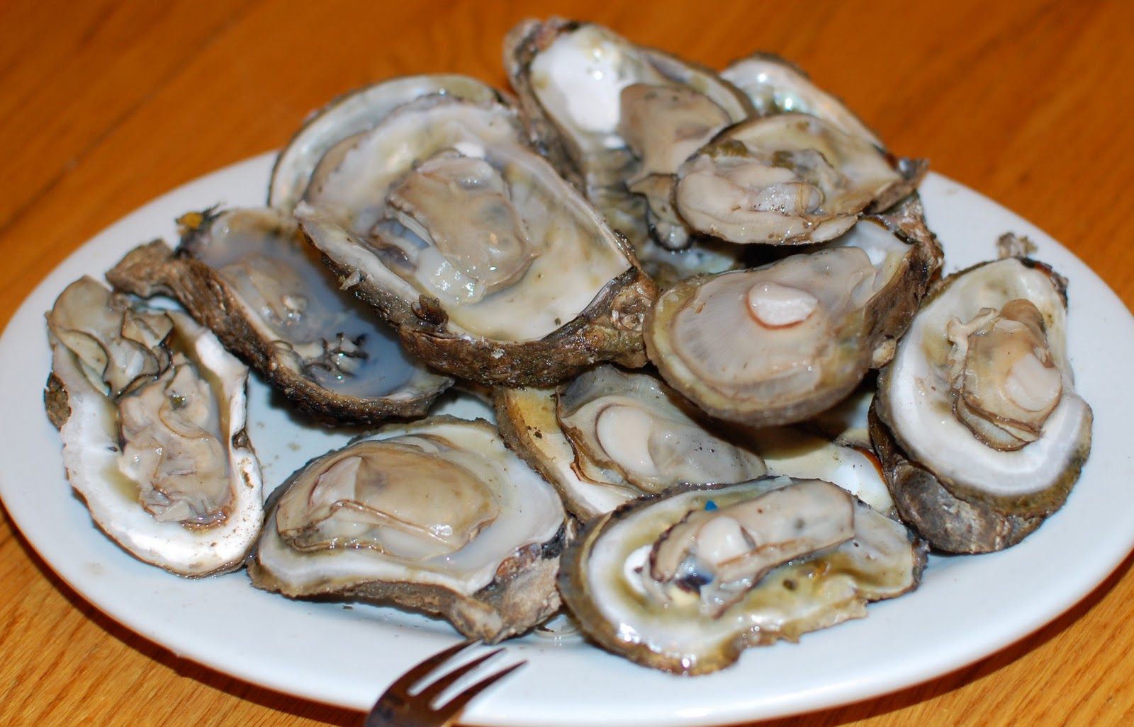 Fire Roasted Oysters We Like to Cook!