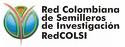 Red COLSI