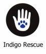 http://www.indigorescue.org/