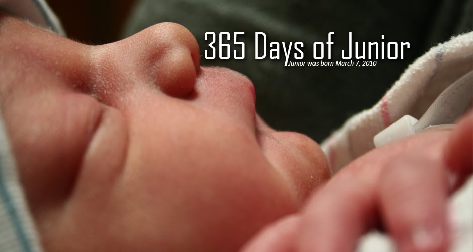 365 Days of Junior