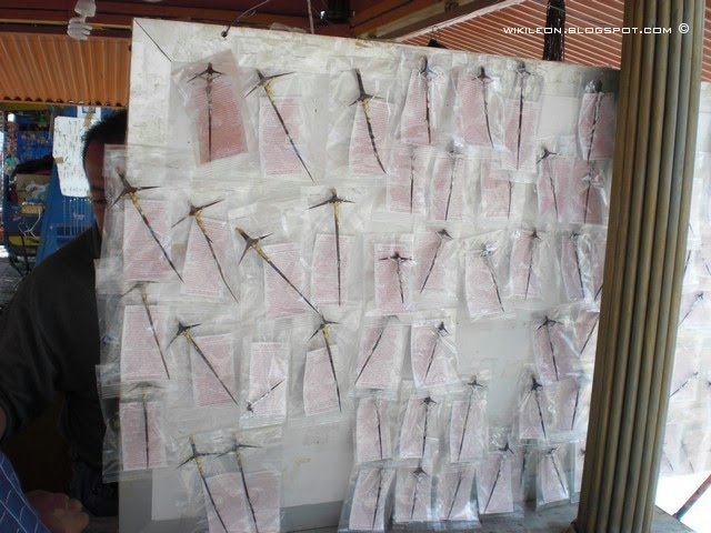 [Templo_Cruz_02.JPG]