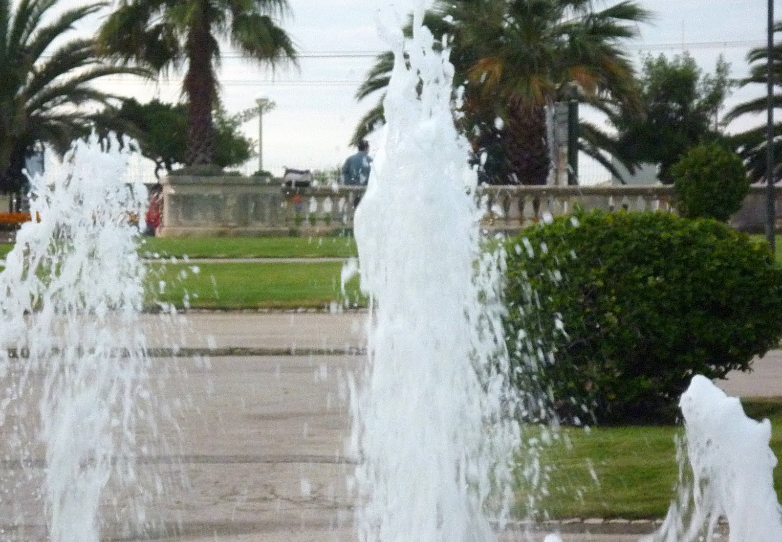 [P1010779.JPG]