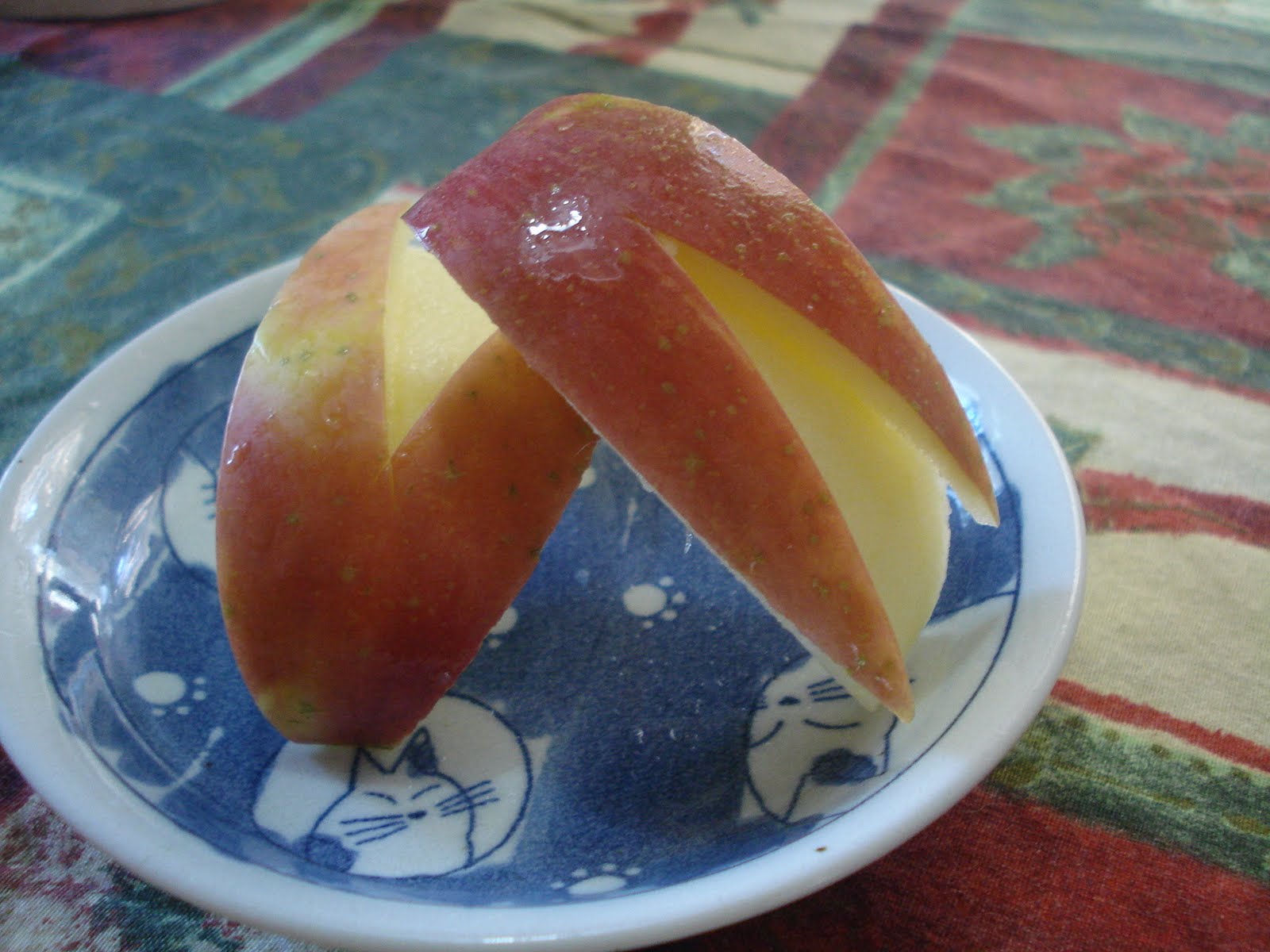 Taniwa Apple bunnies